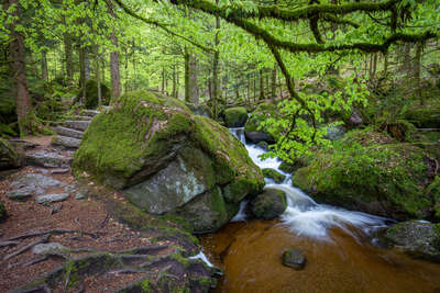 Gertelbachfälle im Frühling von André Straub - 2 Gertelbachfälle im Frühling von André Straub / Landkreis Rastatt / Bühlertal / Wasserfälle im Schwarzwald / Fotoworkshops