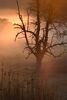 DSC_1865.jpg