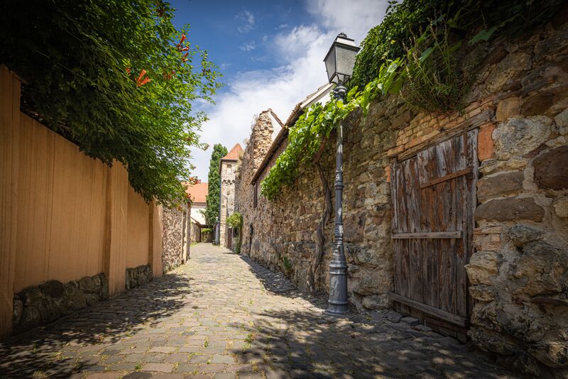 Stadtmauer Freinsheim.jpg