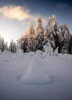 Ein Foto aus dem Schwarzwald. Es zeigt eine wunderschöne Winterlandschaft mit schneebedeckten Bäumen auf dem Schliffkopf. Das Foto stammt von Heimatlicht und Fototrainer Florian Orth. Es entstand an einem Fotoworkshop.