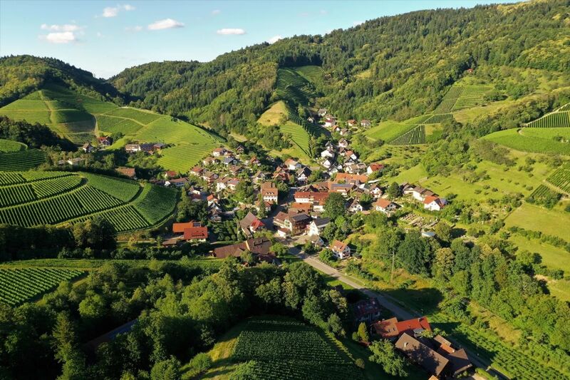 Winzerhof Decker.jpeg