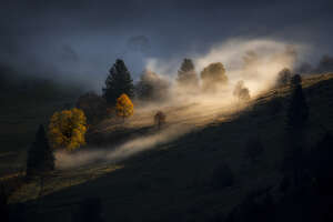 Das Foto "Light in the Darkness" zeigt einen von Licht und Schatten geprägten Berghang im Hochscharzwald an dem Nebel hängt, ein Foto von Nick Schmid