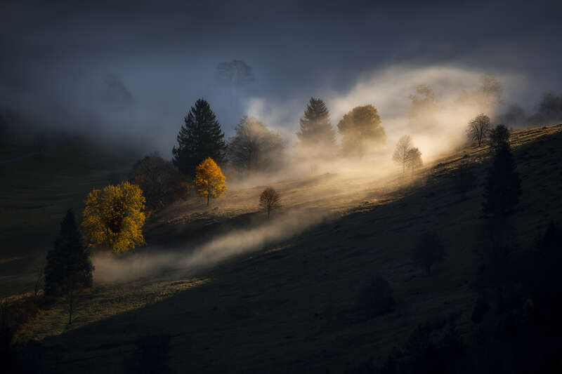 Light in the darkness Nick Schmid.jpg Das Foto "Light in the Darkness" zeigt einen von Licht und Schatten geprägten Berghang im Hochscharzwald an dem Nebel hängt, ein Foto von Nick Schmid