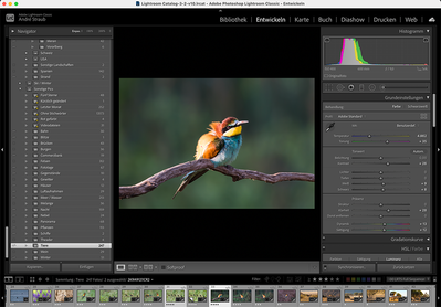 Heimatlichter Lightroom.png Bildbearbeitung Adobe Lightroom Schulung Training Coaching Fotografie