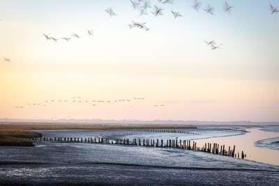 Watt und Meer Priel.jpg Watt und Meer Priel, St. Peter-Ordung, SPO