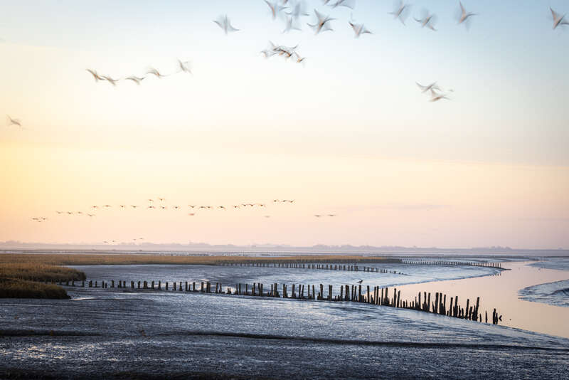Watt und Meer Priel.jpg Watt und Meer Priel, St. Peter-Ordung, SPO