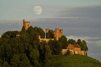 Ortenberg Schloss bei Offenburg in mitten von Weinreben mit Mond von Heimatlicht Matthias Wiemer