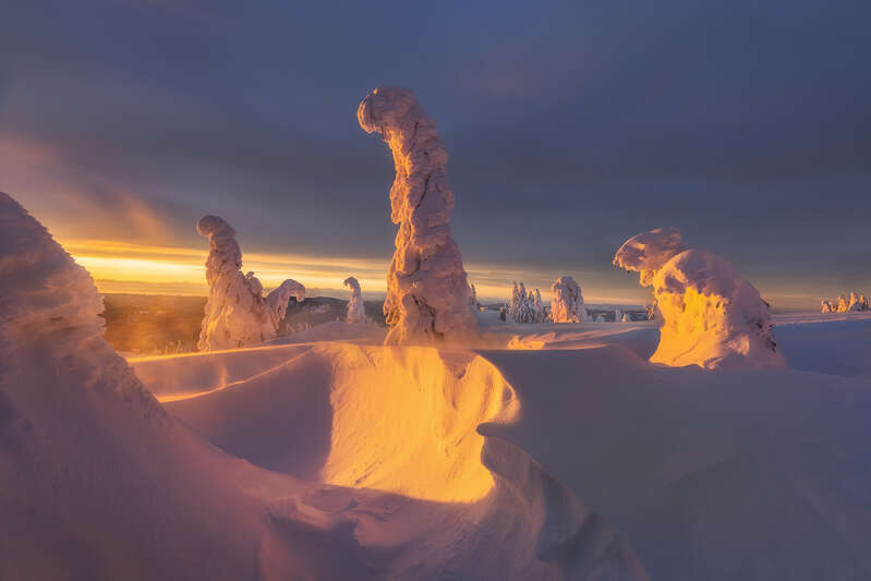 Das Foto "Heat Seekers Schwarzwald" zeigt schneebedeckte Bäume und Schneewehen im Hochschwarzwald, ein Foto von Nick Schmid