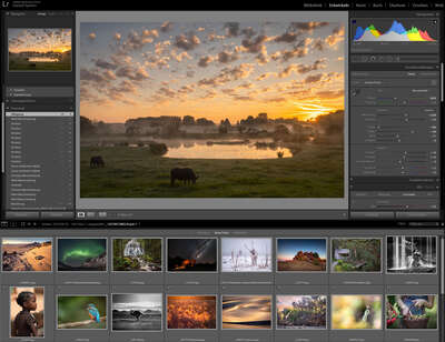Adobe Lightroom Bildbearbeitung Schulung Training Coaching mit Fototrainer Daniel Spohn