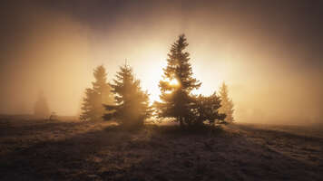 Nebel, Herbst, Sonnenaufgang im Schwarzwald, Fotoworkshop Fotocoaching mit Fototrainer Nick Schmid aus dem Schwarzwald