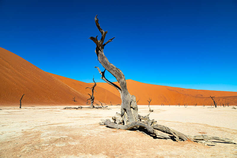 Namibia2019-24.jpg Multivisionsshow Namibia Dia-Show, Foto-Workshop Landschaftsfotografie Naturfotografie wildlife-fotografie