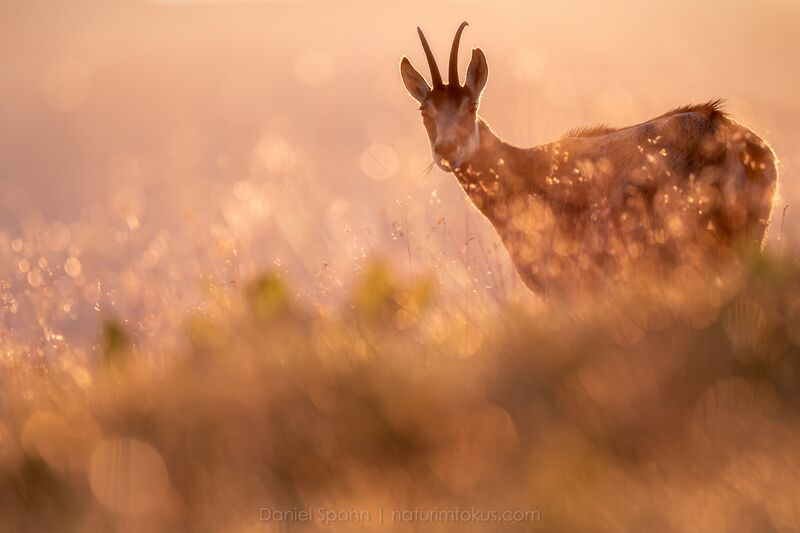 _1118988-Bearbeitet_web.jpg