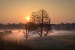 DSC_1863-2.jpg