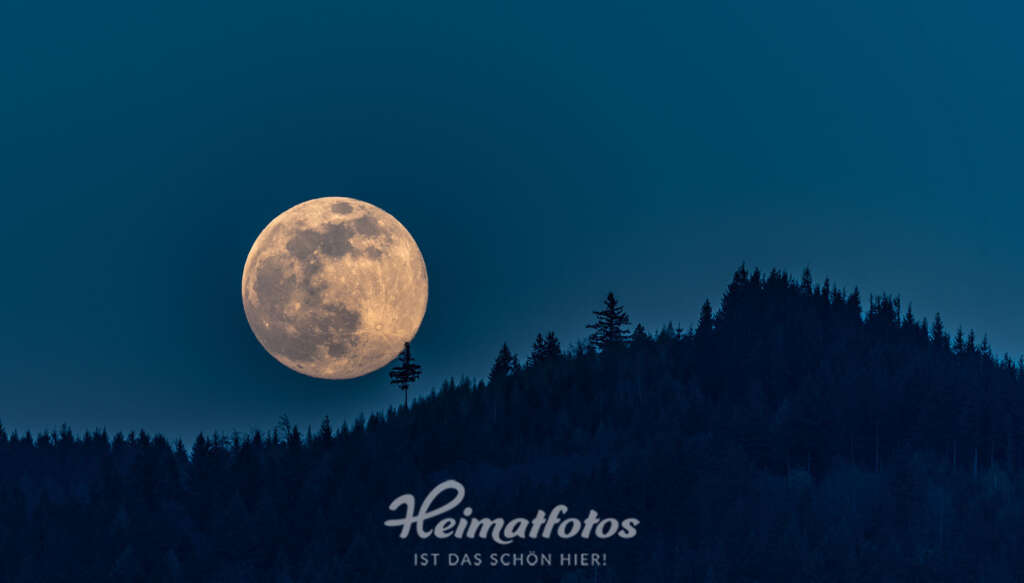 Evi Seeger, Schwarzwald, Vollmond