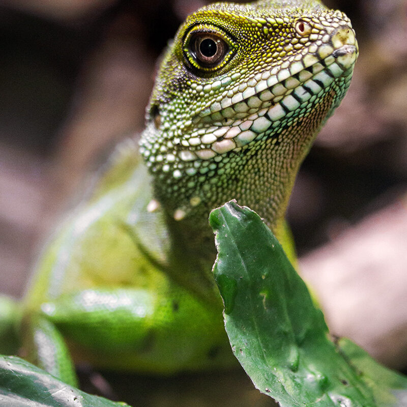 fotokurs-potsdam-biosphaere