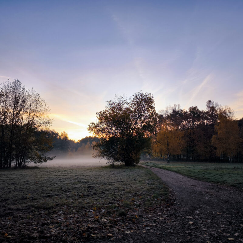 smartphone_beispielbilder_workshops-071311