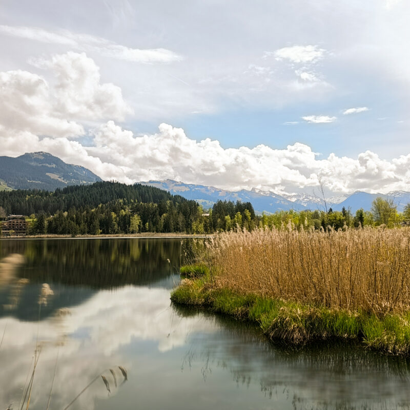 smartphone_beispielbilder_workshops-120343