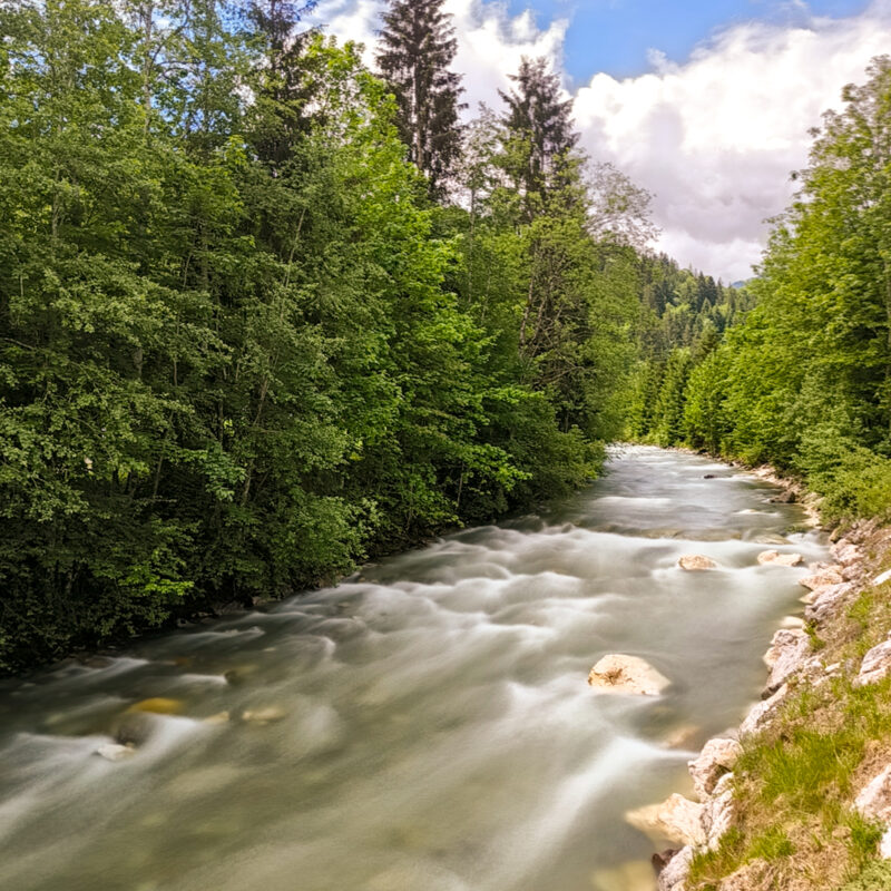 smartphone_beispielbilder_workshops-122602