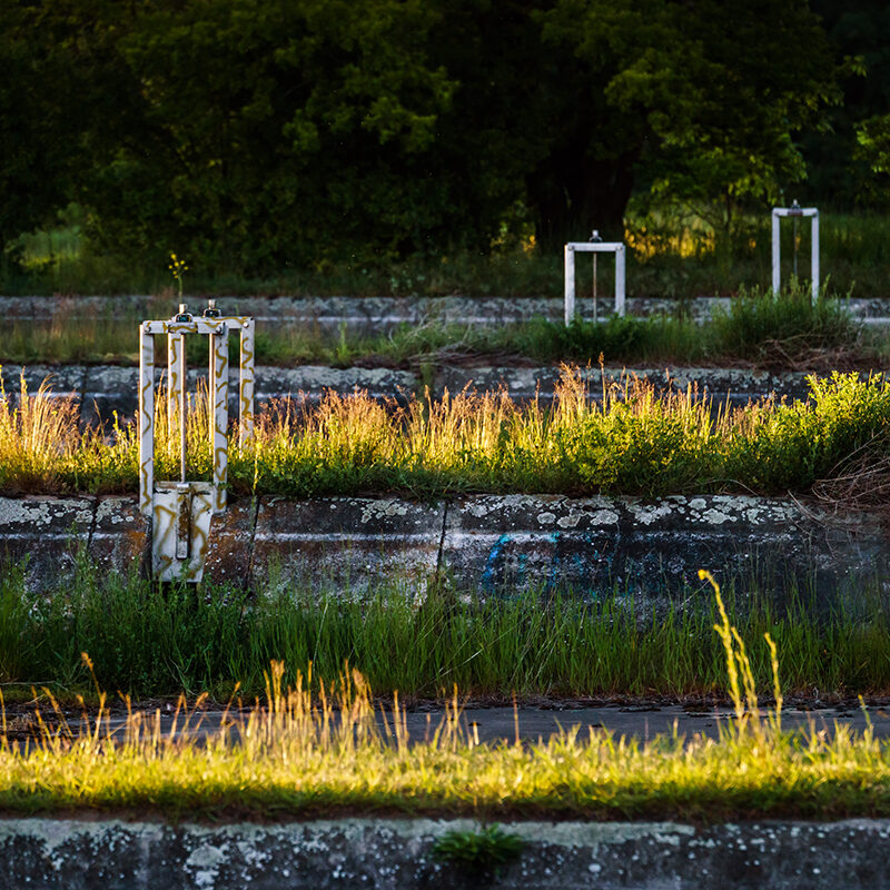 edit_ws-riesl-mai_img01041