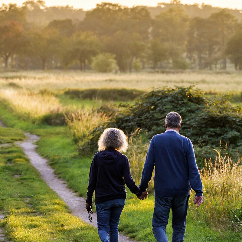 edit_ws-riesl-sept_img04898