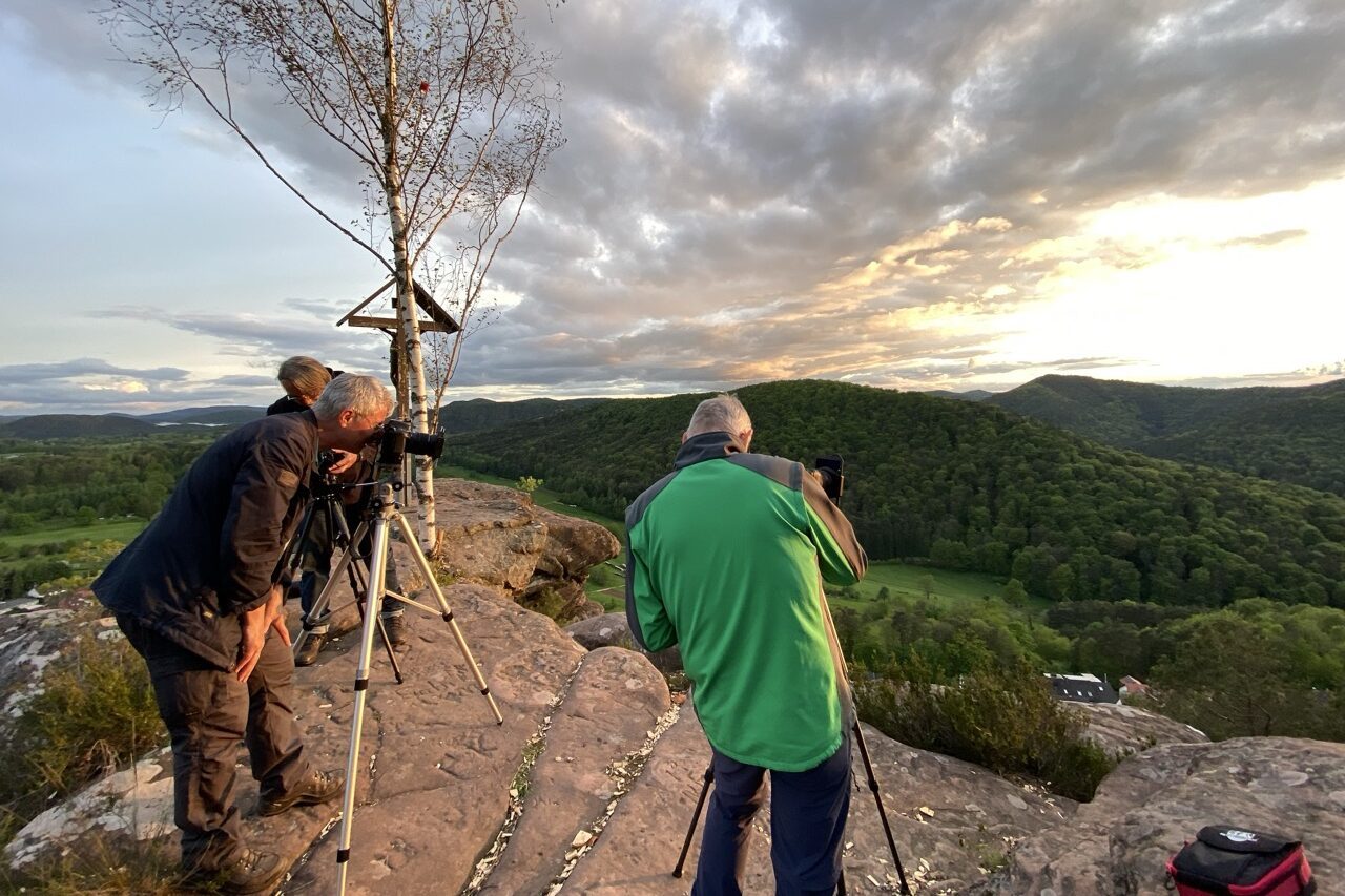 Erleben Coaching Geiersteine
